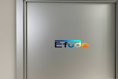 Glass Finishing Doors