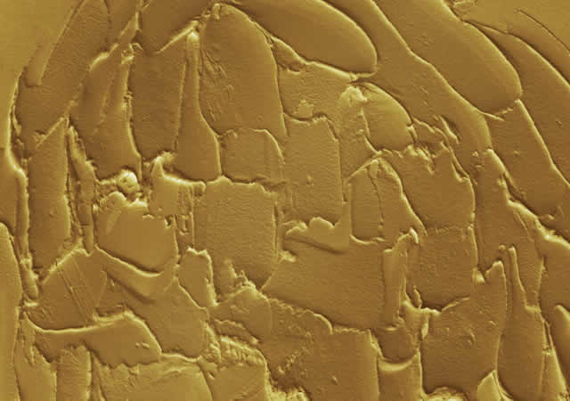 Interior wall coated with Efudo Mabel Paint showcasing a rich, textured, and stone-like decorative finish.